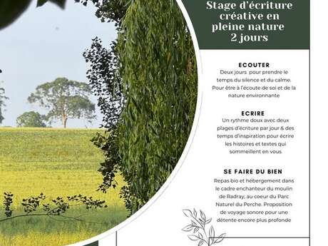 Stage d'écriture créative en pleine nature