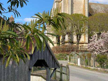 Visite-promenade du bourg de Loisé