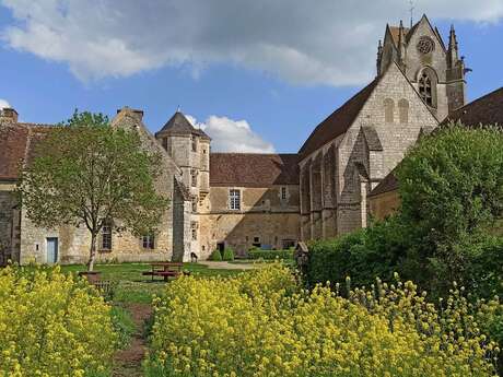 Cinéma en plein air - Projection du documentaire "Semer et Récolter" d'Éric Le Roch