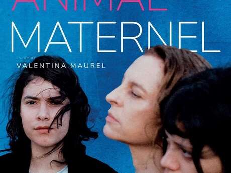 Cinéma - Avant-première - Ton animal maternel - V.O sous-titrée