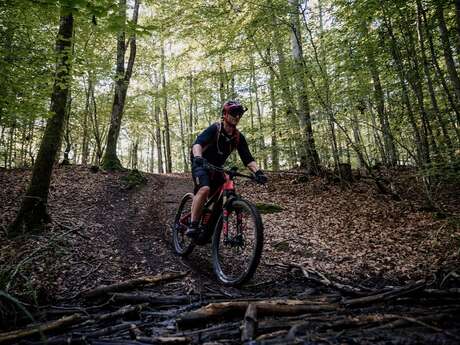 A VTT le long du fer dans le Perche