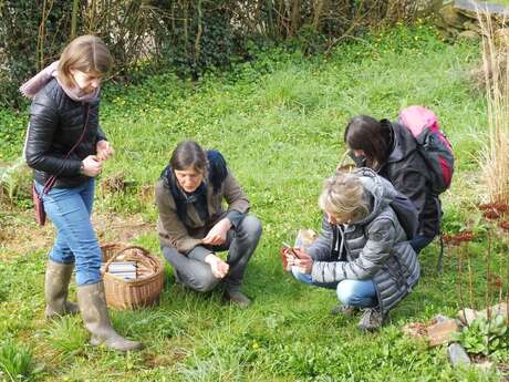 Bruicolage dans la nature