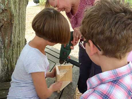 Fabrication refuges à insectes