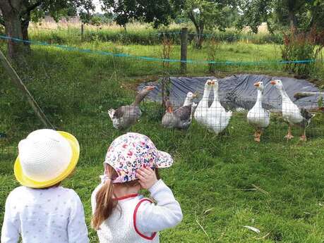 Visite soins escape game ateliers thématiques de la ferme