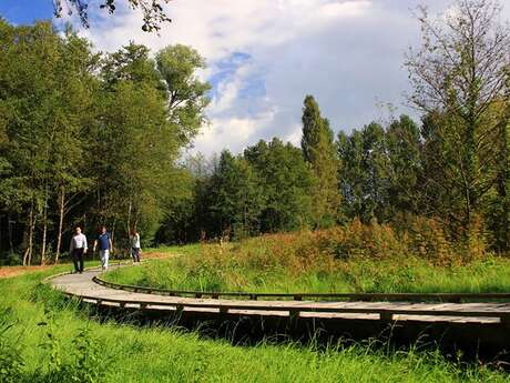 Balade nature - Assieds-toi et regarde les criquets chanter