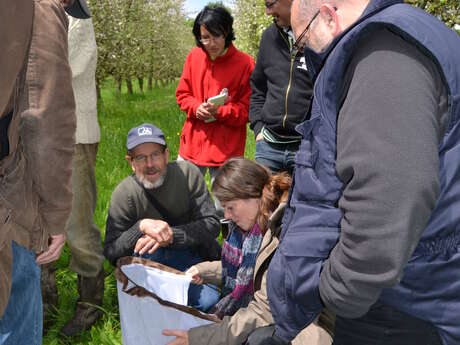 Atelier : Taille des arbres fruitiers