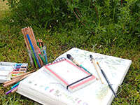 Atelier famille : S'initier au croquis botanique