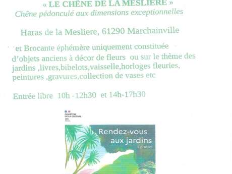 Rendez vous aux jardins : Visite du Chêne de la Meslière