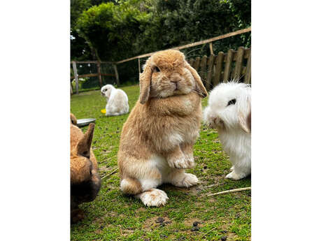 Ferme pédagogique Aux Prés d'Écouves
