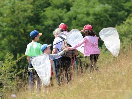 Balade nature - Chasse aux papillons