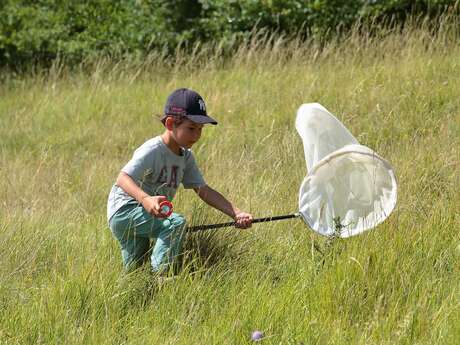 Balade nature - Chasse aux papillons