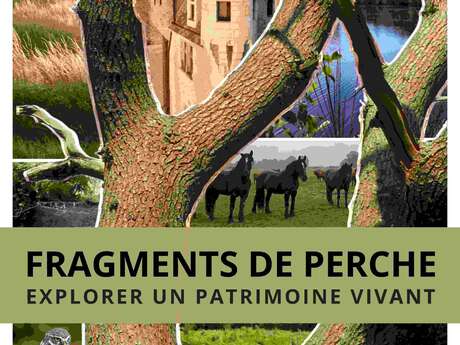 Exposition temporaire Fragments de Perche