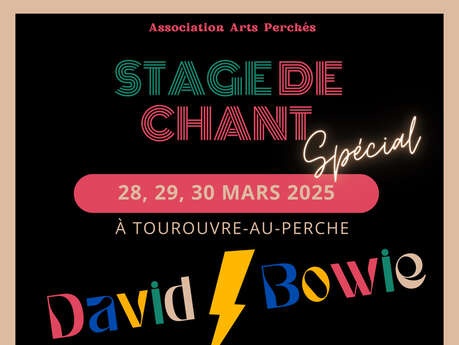 Stage de chant spécial David Bowie