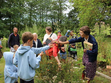 Atelier famille herboristerie : Secrets des plantes