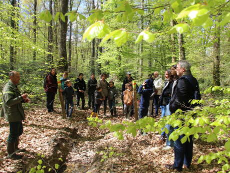 Jouer aux apprentis forestiers ! immersion numérique au cœur de la forêt