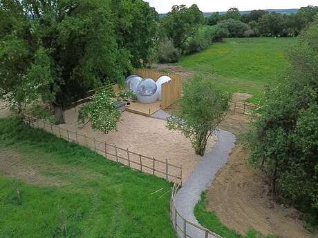 La Bulle des Brosses Etoilées