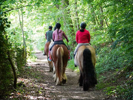 Ecuries CLS Les Chevaux d'Abbecourt