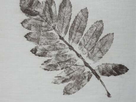 Atelier famille : Empreintes végétales en positif et négatif