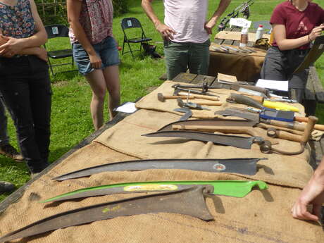 Initiation au fauchage à la faux