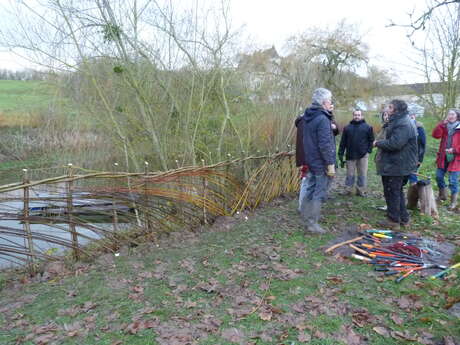 Atelier participatif - Initiation au plessage