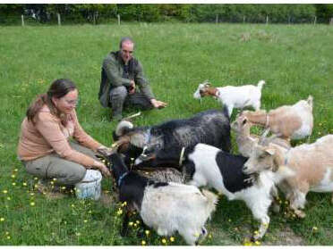 Visite et ateliers de la ferme