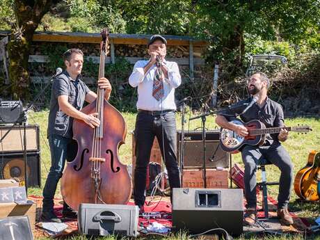 Folk ' n blues songs :  The Crooked Nails