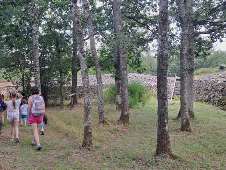 VISITE GUIDÉE · Le Camp celtique