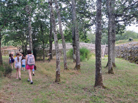 Visite guidée : Le Camp celtique de Bierre