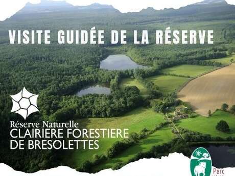 Découverte de la Réserve Naturelle Régionale de la clairière forestière de Bresolettes 
