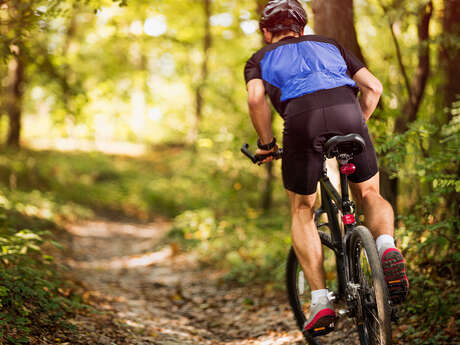 A VTT dans le perche, circuit le camp retranché de St Gilles