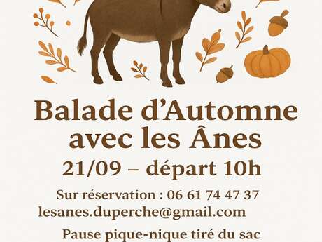 Balade d'automne avec les ânes