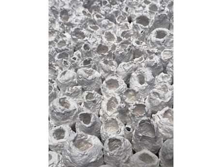 Ouverture Atelier Sculpture