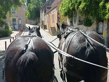 Balade en attelage à La Perrière et en forêt de Bellême