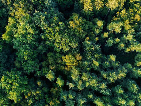 Chasseurs de légendes