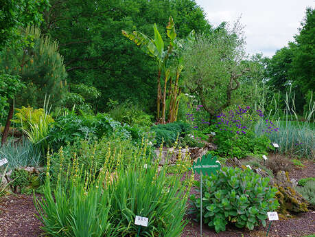 Rendez vous aux Jardins - Jardin du Bois du Puits
