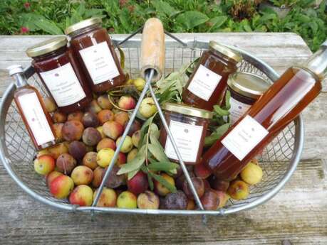 Bourrache et Coquelicot - De la cueillette à l'assiette
