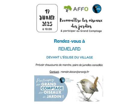 Reconnaître les oiseaux du jardin