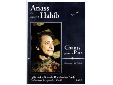 Anass Habib en concert