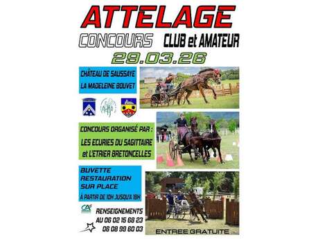 Concours d'attelage