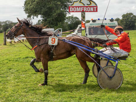 Courses hippiques de Domfront