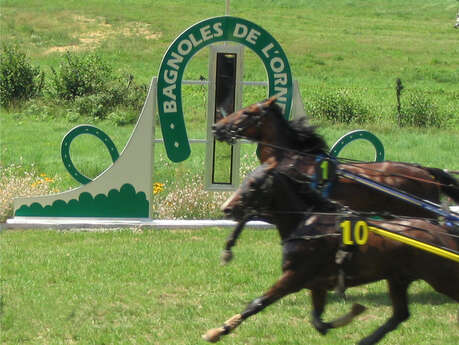 Courses hippiques