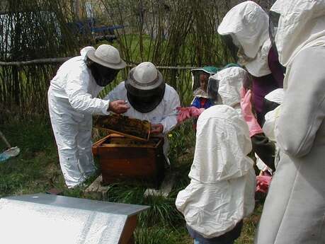 Fête de l'abeille et de l'environnement