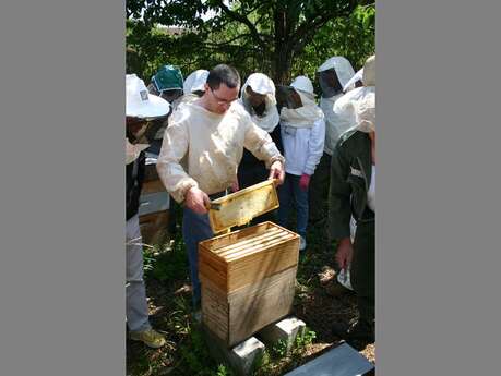 S'initier à l'apiculture (2ème séance/5)