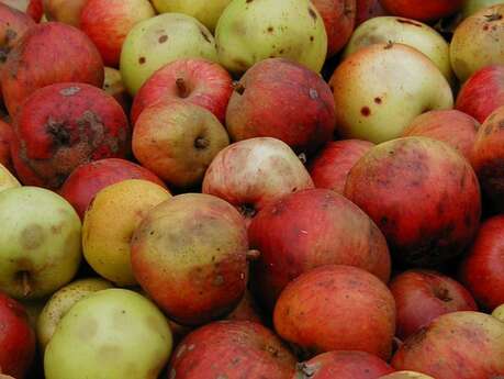 Fête de l'arbre et du cidre