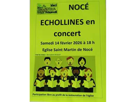 Échollines en concert