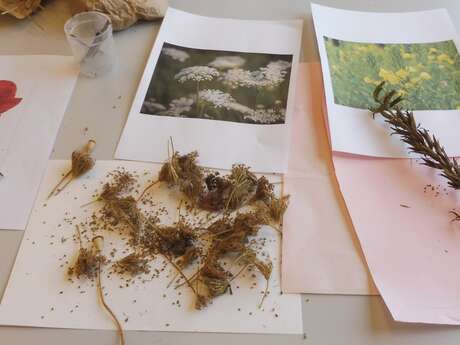 Atelier famille : Graines voyageuses