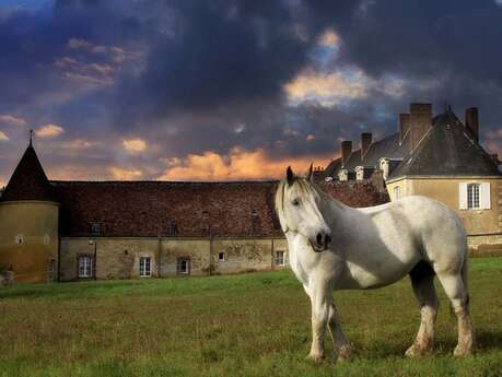 Château de l'Hermitière