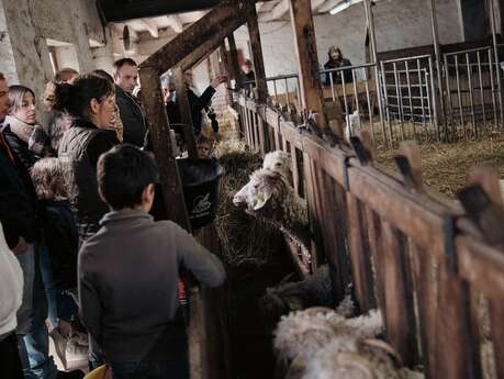 C'est le printemps à la ferme de l'Aritoire