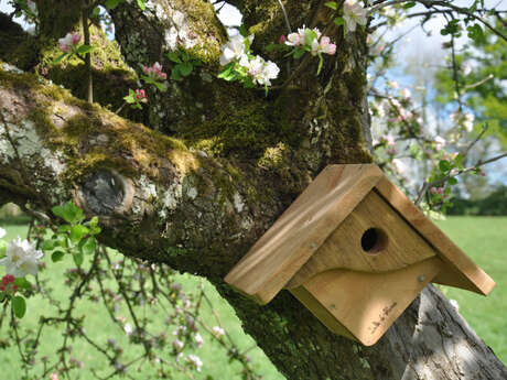 Bâtisseurs de Biodiversité : atelier nichoir