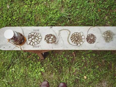 L'ortie et autres plantes à fibres